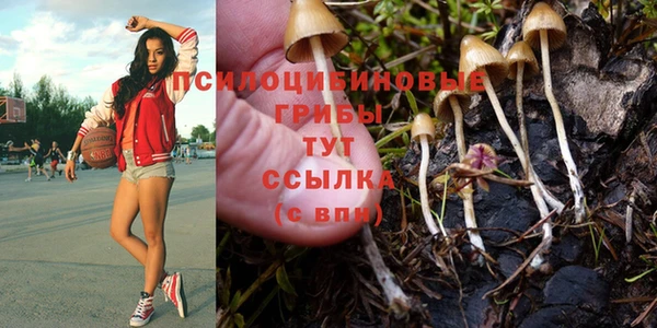 гидропоника Алексин