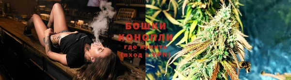 гидропоника Алексин