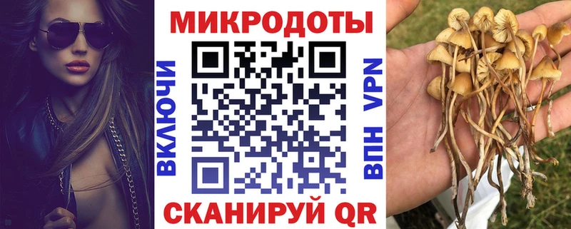 blacksprut ССЫЛКА  Копейск  Псилоцибиновые грибы Psilocybe 